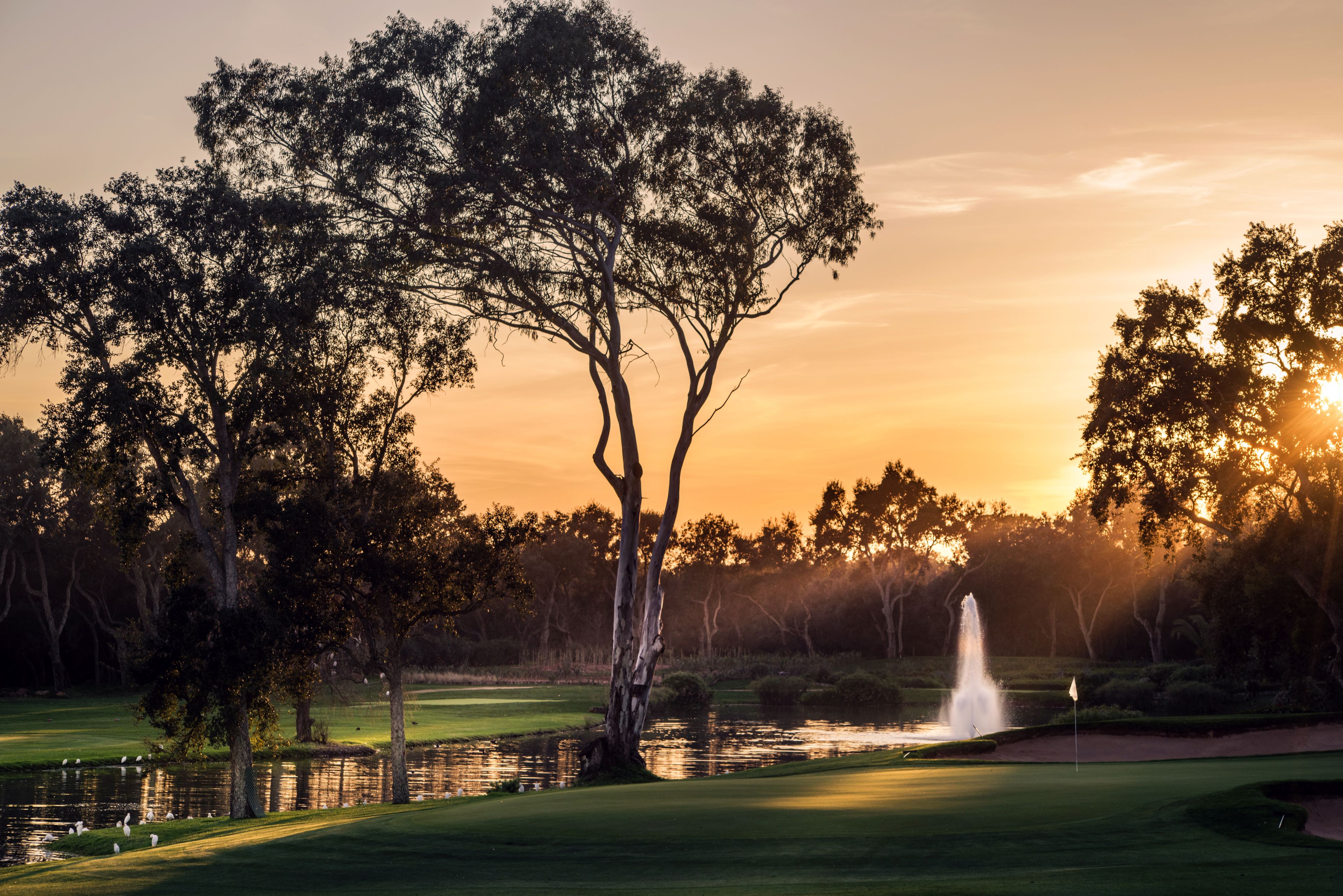 Golf Resort 3